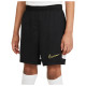 Nike Παιδικό σορτς Dri-FIT Academy